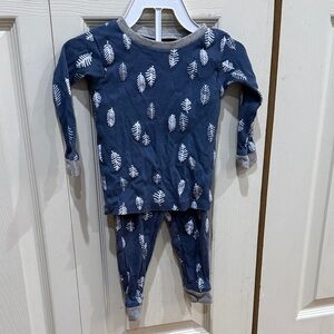 Burt’s Bee’s Baby Cozy Kids Leaf Print Pajama Set in Blue